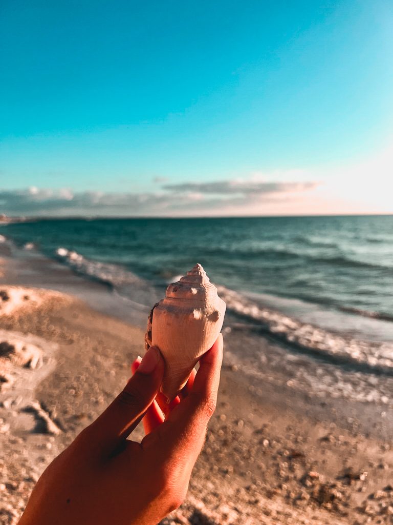 How to Spend Two Days in Treasure Island Florida