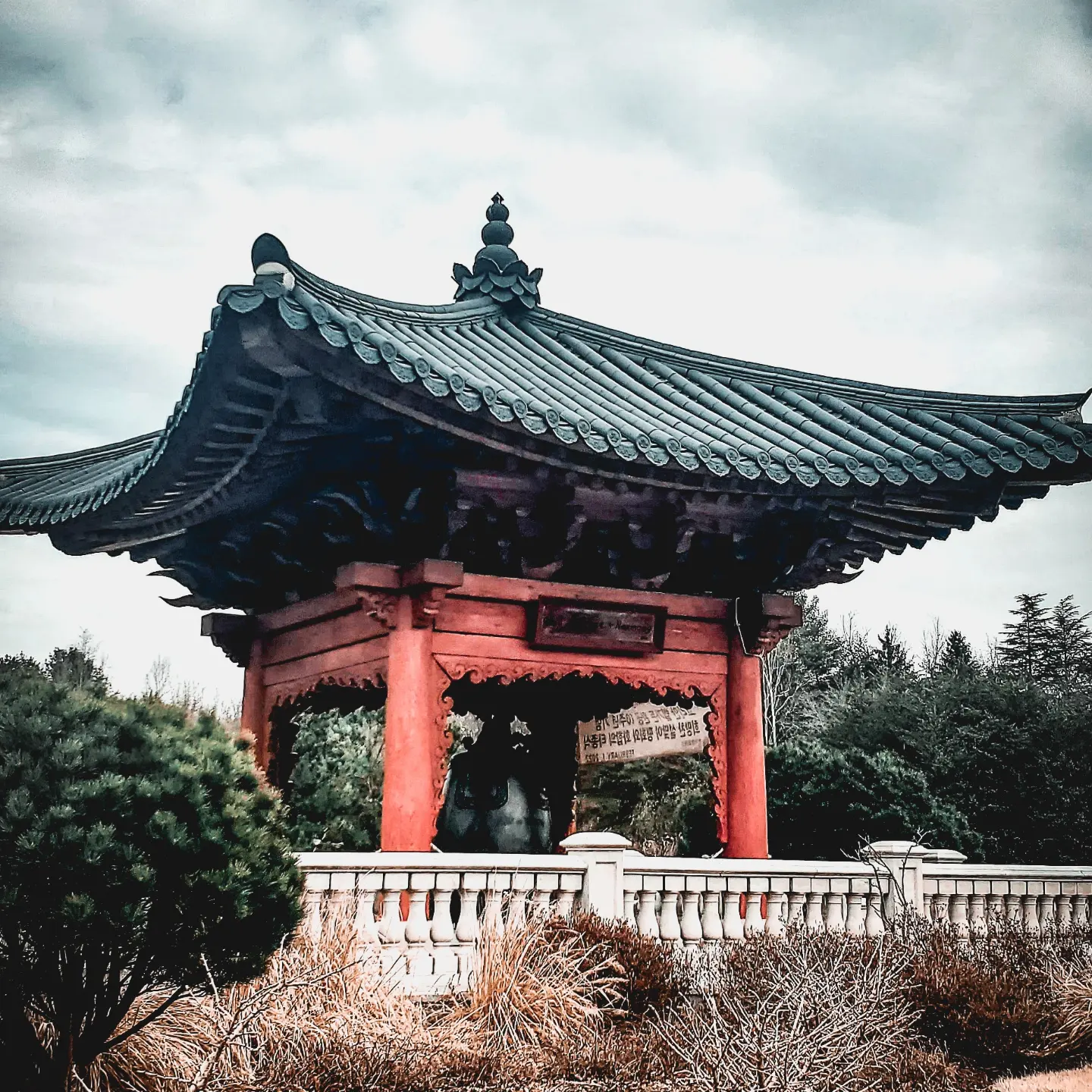 Korean bell garden