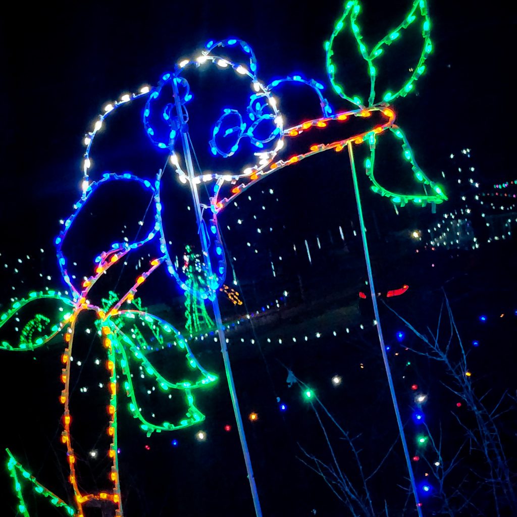Light up panda at Lake Julian festival of lights 