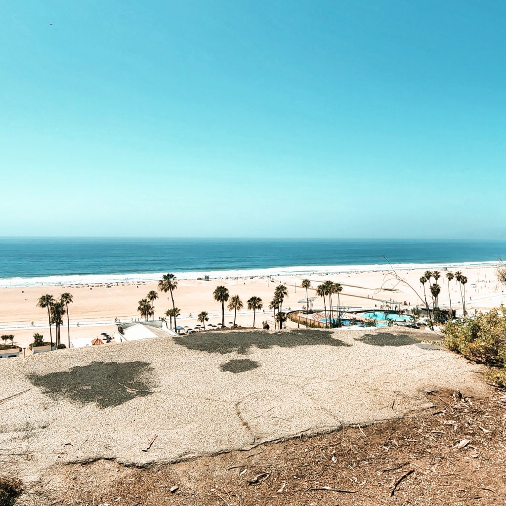 santa monica california ocean view with palm trees