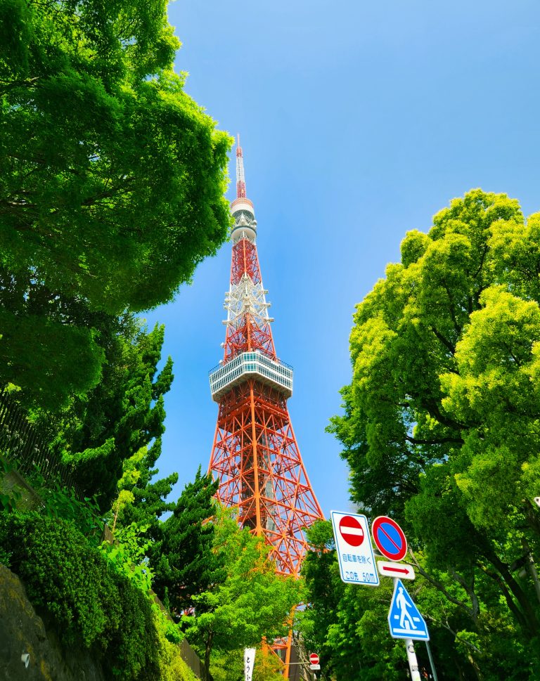 Solo Travel to Tokyo Japan: First Timer’s Guide