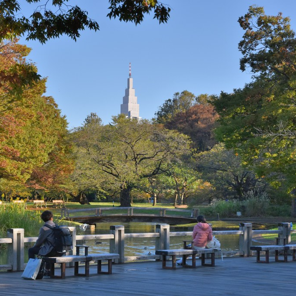 yoyogi park in tokyo