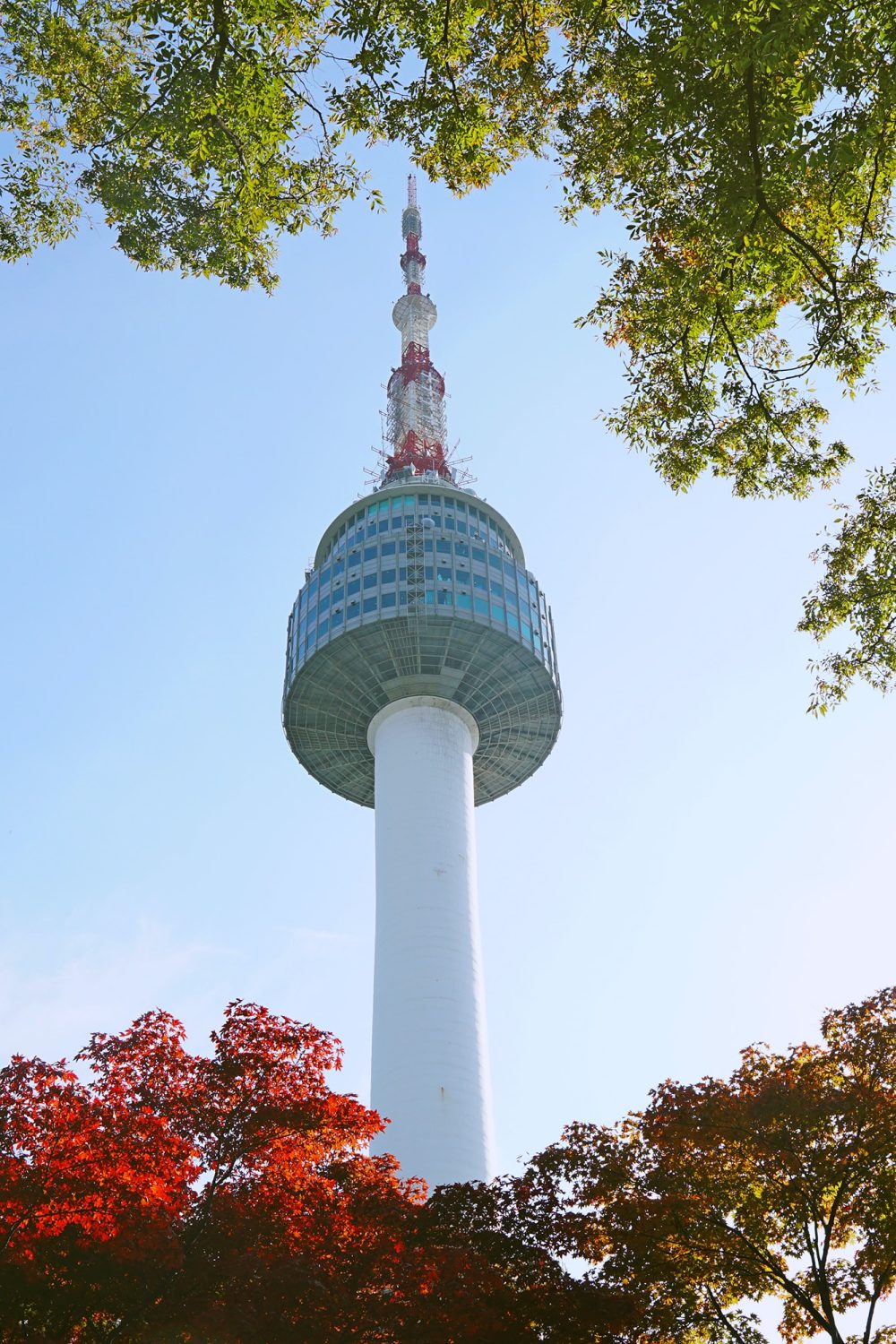 n seoul tower in the fall season