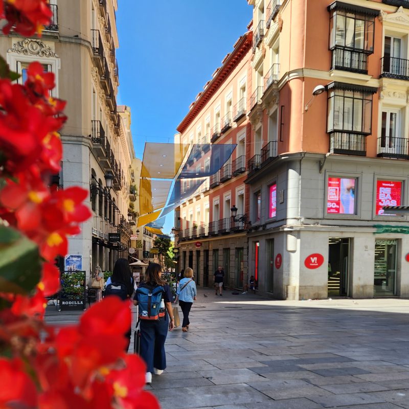 shopping street in madrid