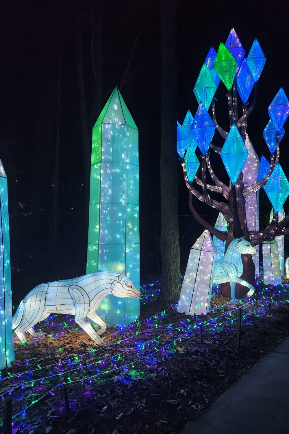 wolves and crystals light up display at chinese lantern festival in nc