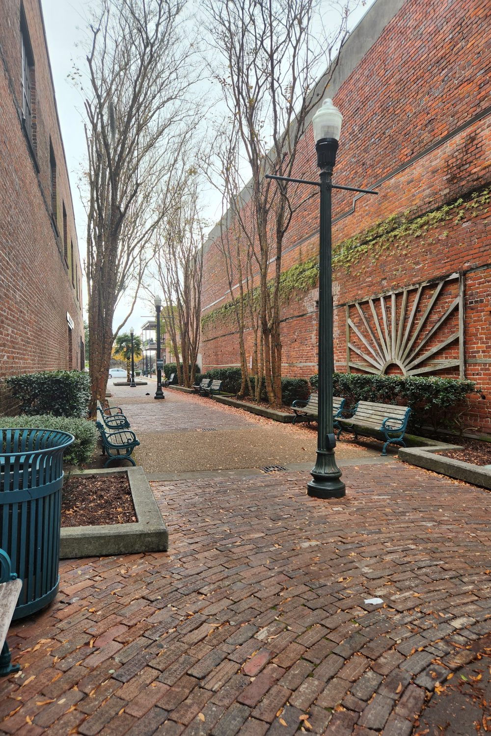 alleyway with lights in new bern