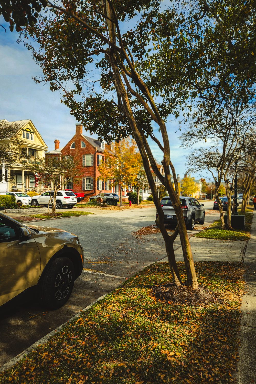charming streets of new bern
