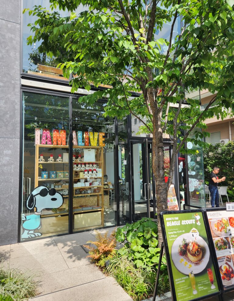 20 Must-Visit Cute Cafes in Harajuku (2024)