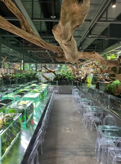 rows of clear tables and chairs with fish tanks and large branches on the ceiling in a cafe in seoul