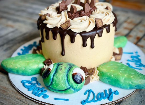 adorable sea turtle with chocolate and cream cheese cake