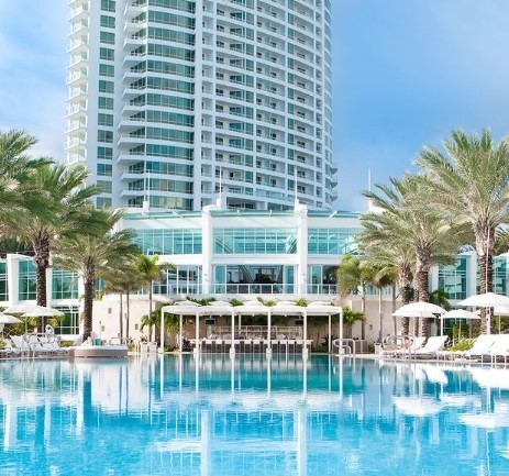 large pool with white lounge chairs and palm trees in miami