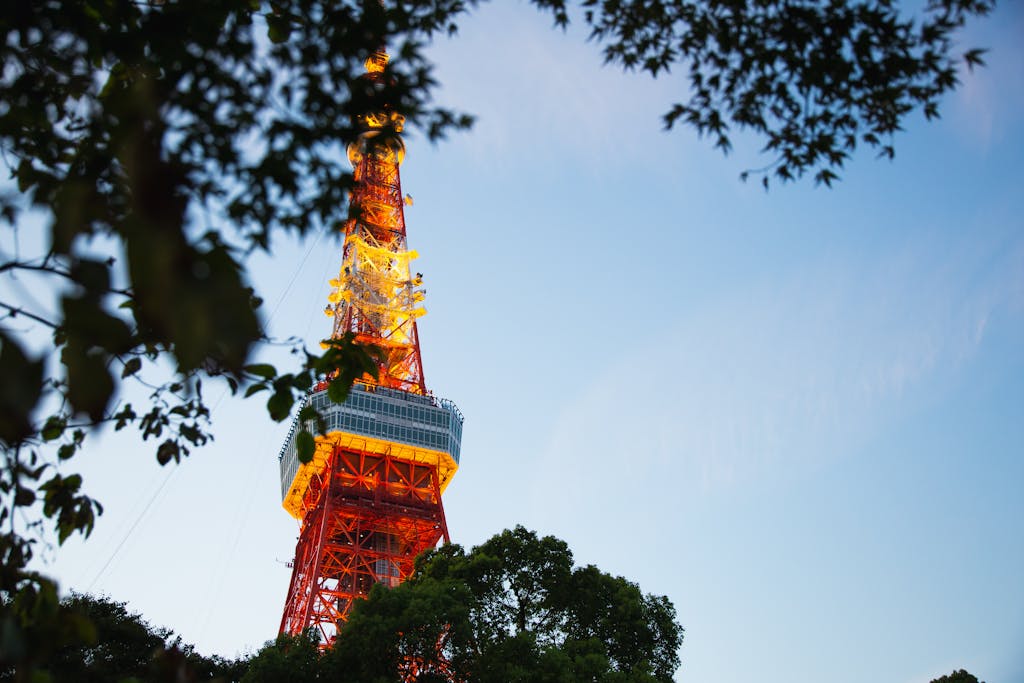 From below of colorful high metal television tower with observation deck near tree branches in Tokyo