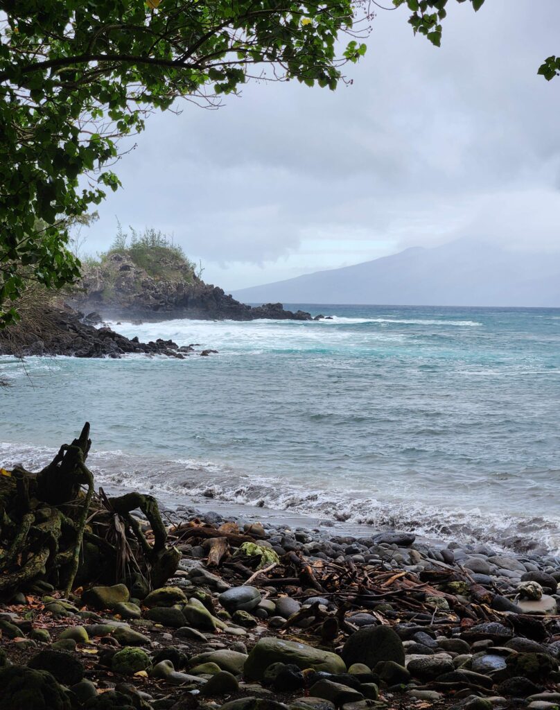 rough ocean with rocky shore with mountains and fog in Maui