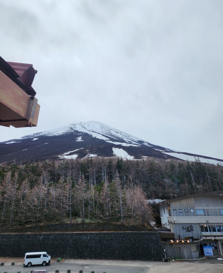 Mount Fuji Day Trip from Tokyo: Guided Tour Review