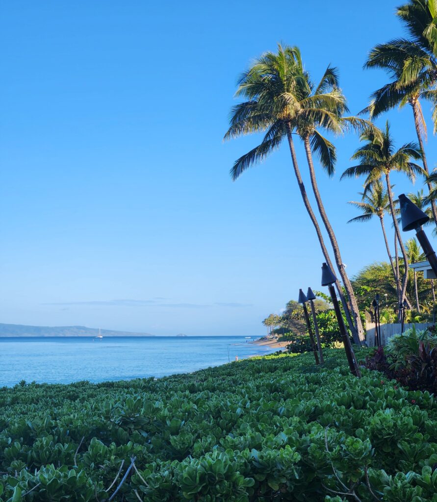Kaanapali Beach in Maui, Hawaii with palm trees and blue water for 5 days in maui itinerary
