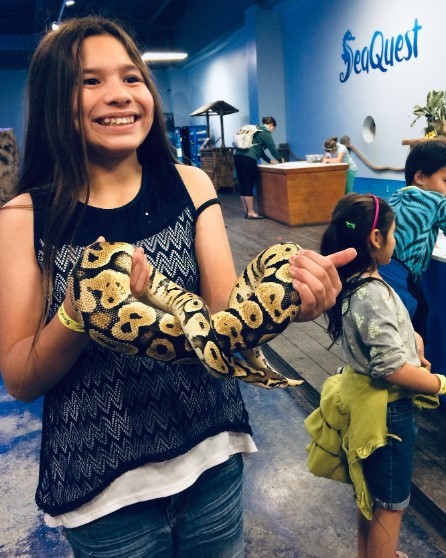 a little girl holding a thick snake at seaquest