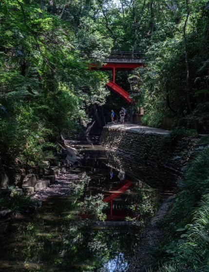 small waterfall with a red bridge hidden in between the trees in tokyo