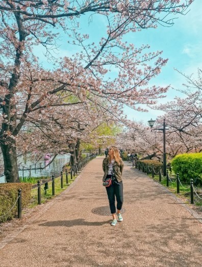 woman walking down path with cherry blossoms at ueno park