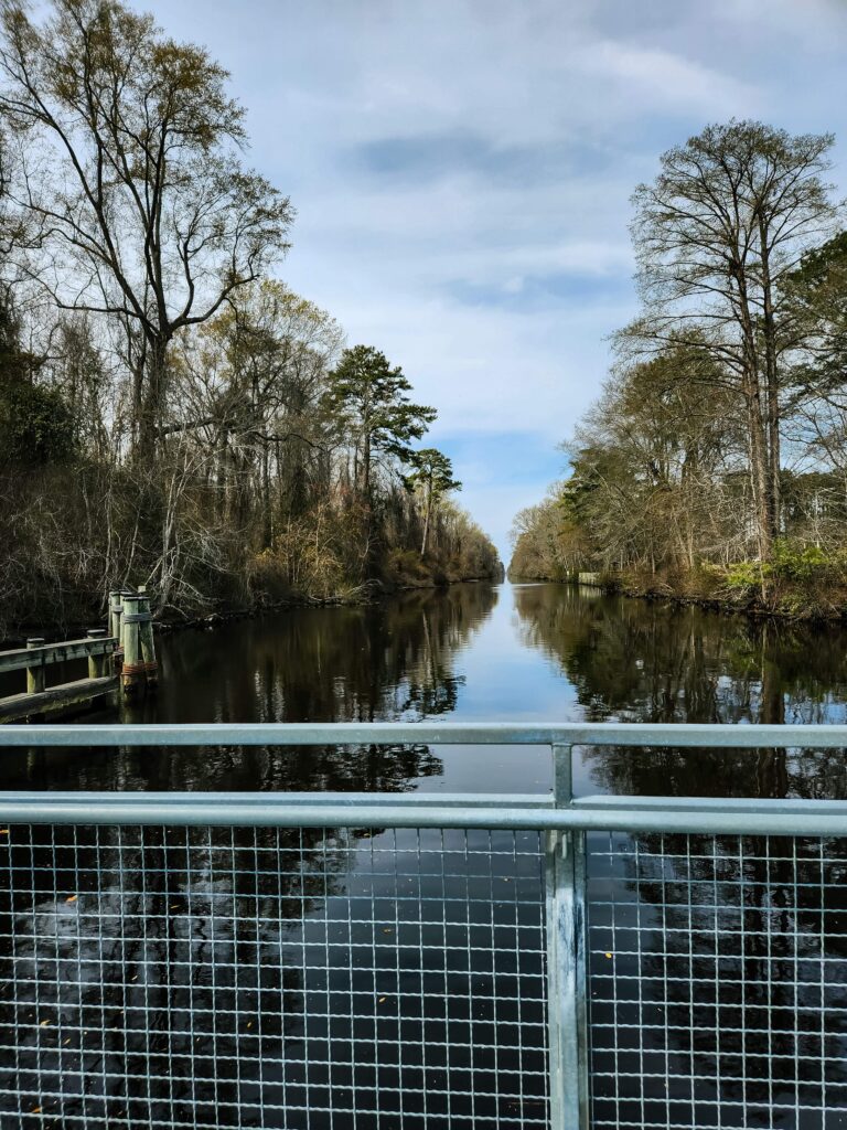 the dismal swamp canal with trees on each side