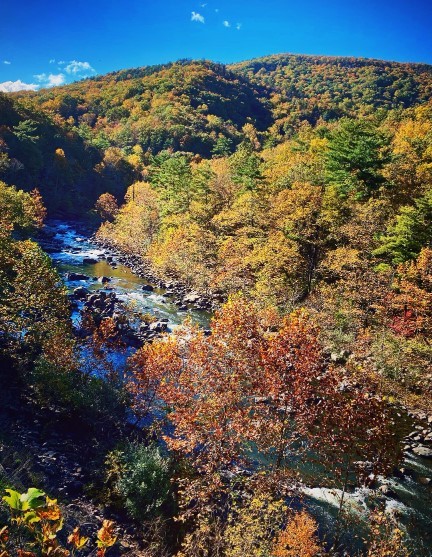 a rocky river passing between mountains in the fall in virginia