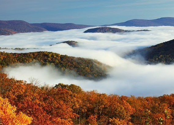 thick fog covering mountains with fall foliage